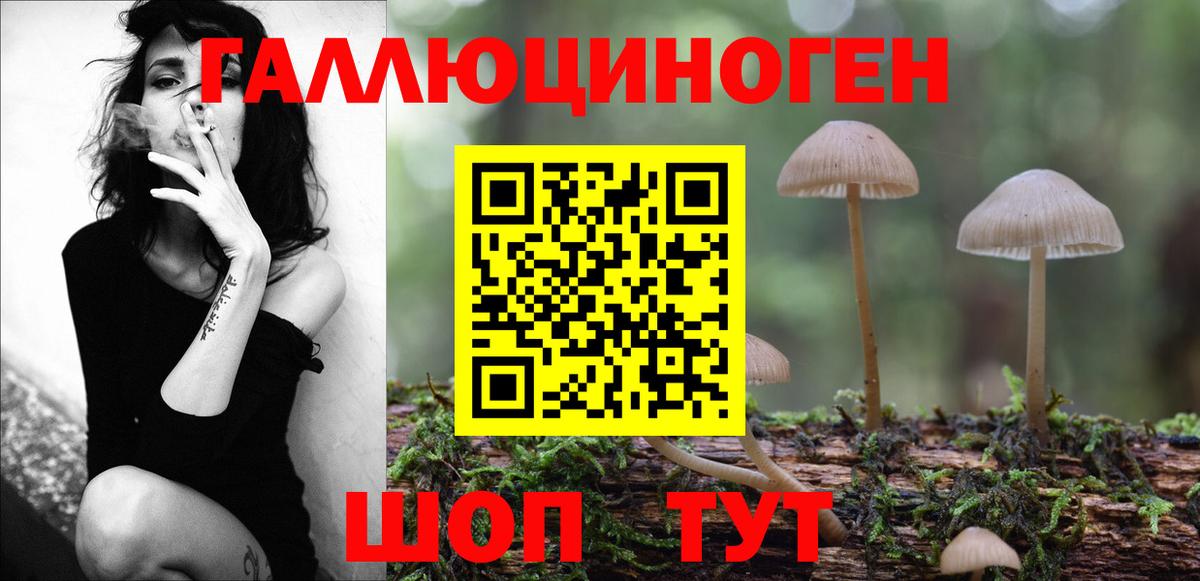 Галлюциногенные грибы Magic Shrooms  Галлюциногенные грибы мицелий  Вход с VPN  Ревда 